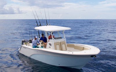 Sea Fox 288 Commander