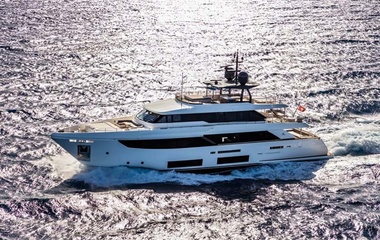 Custom Line Lumpasaurus