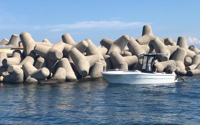 Aquabat Aquafish 550