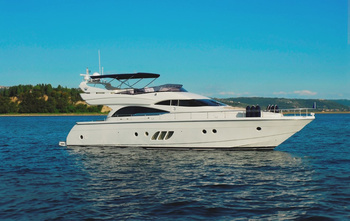 Dominator 620 (2009)