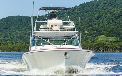 Fishing Raptor 420 OPEN