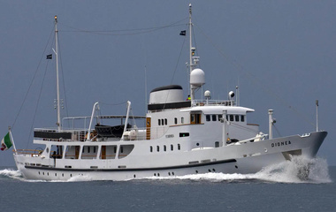 C.N. Felszegi Dionea