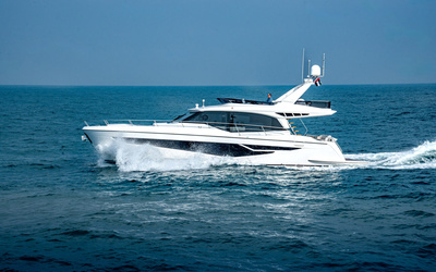 Majesty 60