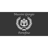Mussini Giorgio