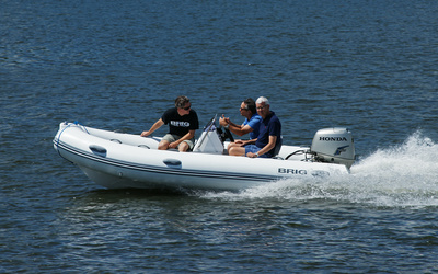 Brig Falcon 480