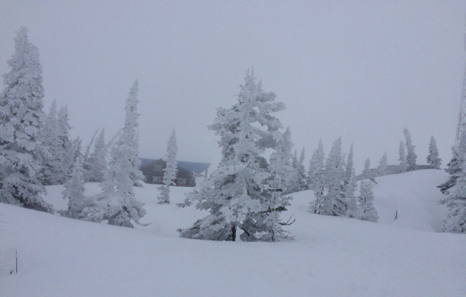 Snowboarding is one of the few effective ways to love winter.