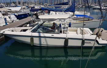 Boston Whaler 270 Vantage