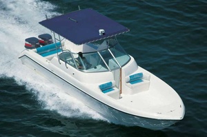 Silvercraft 31SF