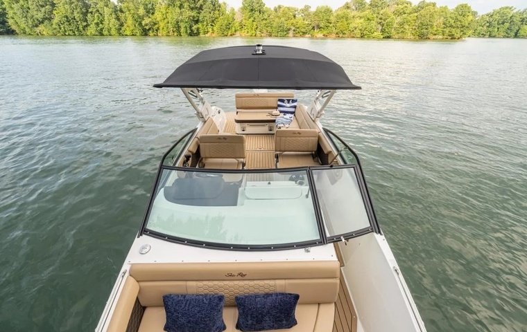 Sea Ray SDX 250 (2024)