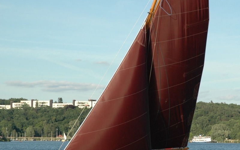 Haber 800 Sloop