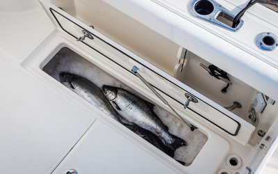 Boston Whaler 285 Conquest Pilothouse