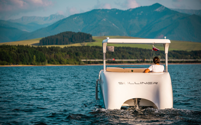 Green Dream Solliner 21