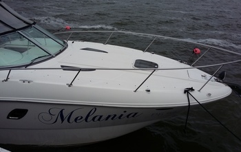 Sea Ray 335 Sundancer (2008)