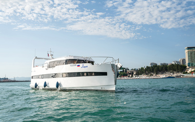 Попилов Aura 14.99