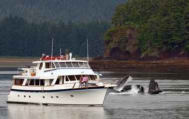 Westport Alaskan Story