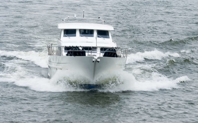 Van Der Heijden Dynamic Deluxe 1800