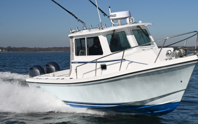 Steiger Craft 255 Miami