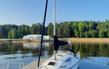 Northman Maxus 33 (2013)