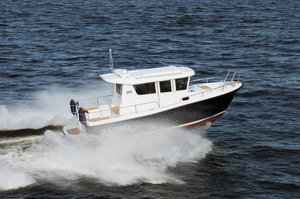 Sargo 25