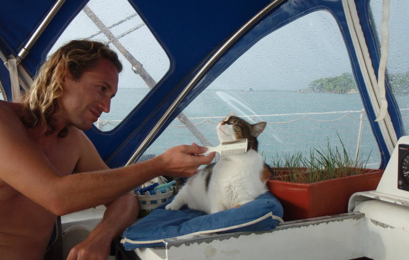 Some caring owners recommend throwing the cat overboard at the beginning of the journey - then he should kind of stop being afraid of water, but we are against this approach. You can easily lose a pet's trust, which is, you know, a valuable thing.