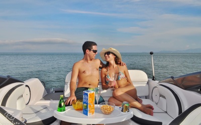 Fibrafort Focker 210