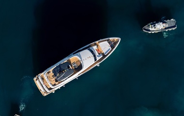 Custom Line Pufferfish