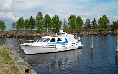 Albatross  871 Flying