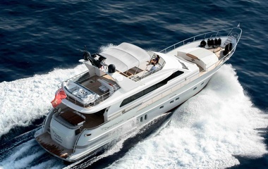 Van der Valk Grey Falcon