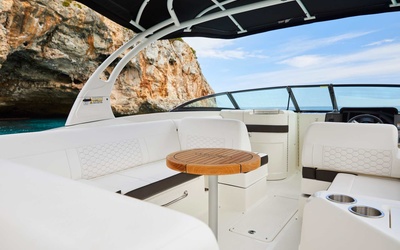 Sea Ray SDX 270