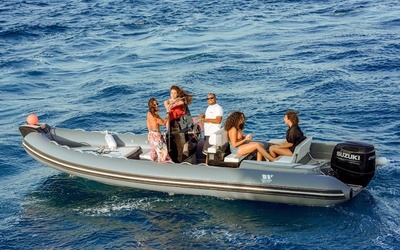 Tiger Marine ProLine 740