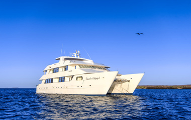 Custom Boats Treasure